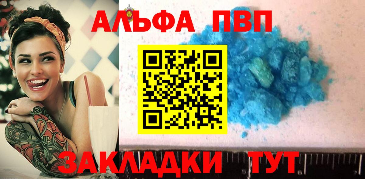 А ПВП крисы CK Кингисепп
