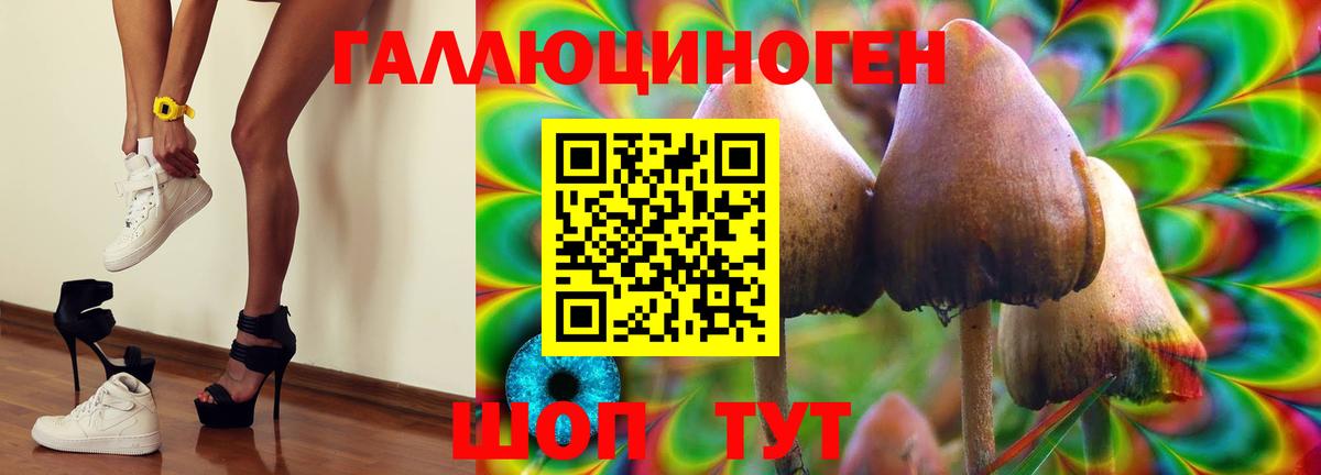Псилоцибиновые грибы Psilocybe  Вход с VPN  Кингисепп 